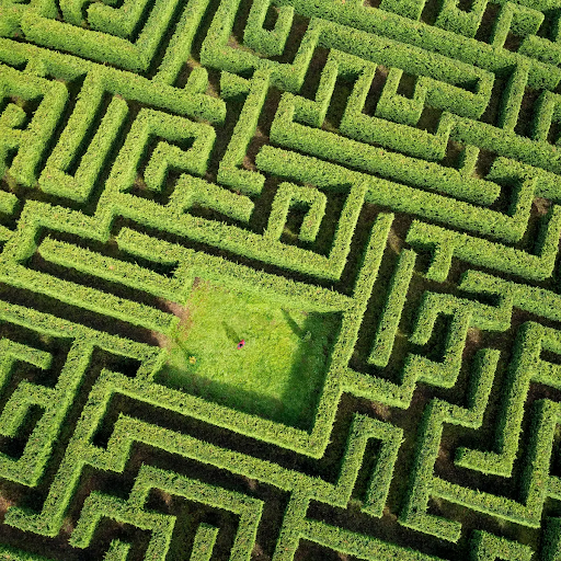 Maze